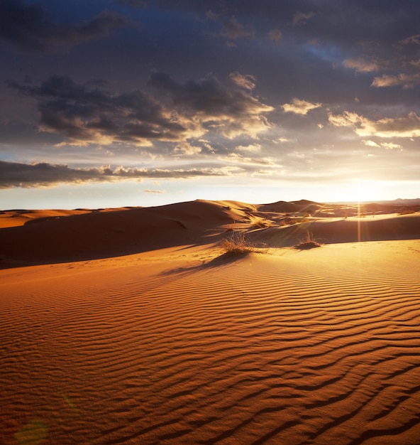 El desierto del Sahara