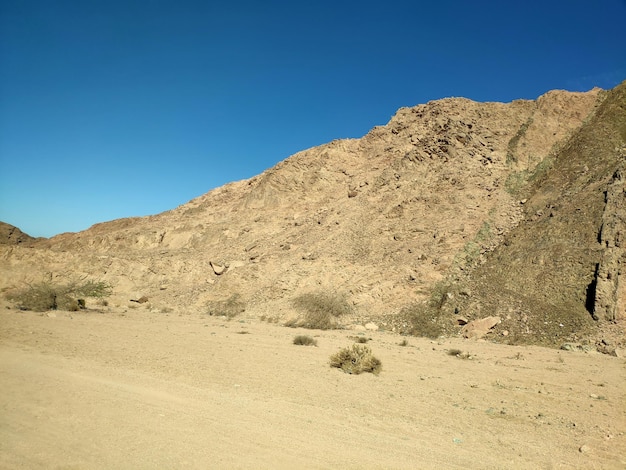 Desierto del Sinaí fondo con montañas paisaje desierto