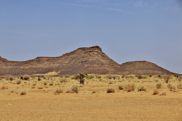 Desierto de Sudán