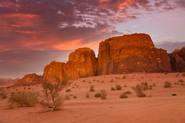 Desierto de Wadi Rum en Jordania en el hermoso amanecer Paisaje del desierto