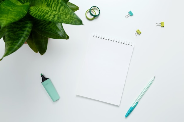 Design criativo de maquete plana do espaço de trabalho Composição da vista superior com suculentas de notebook branco