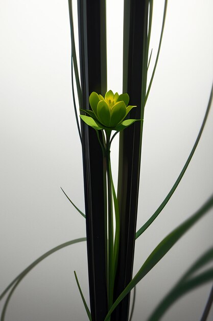 Foto design de forma abstrata flores ramos videiras papel de parede elementos de ilustração de fundo
