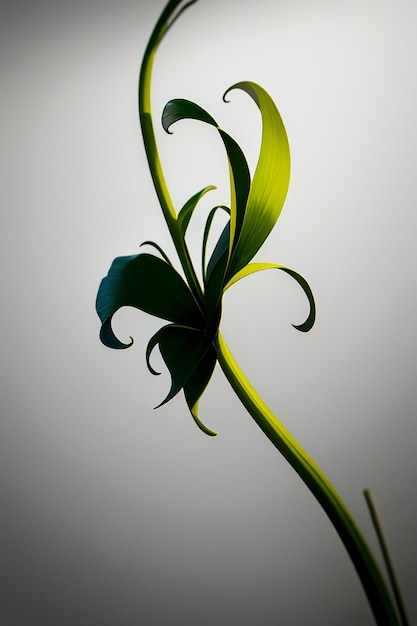 Design de forma abstrata flores ramos videiras papel de parede elementos de ilustração de fundo