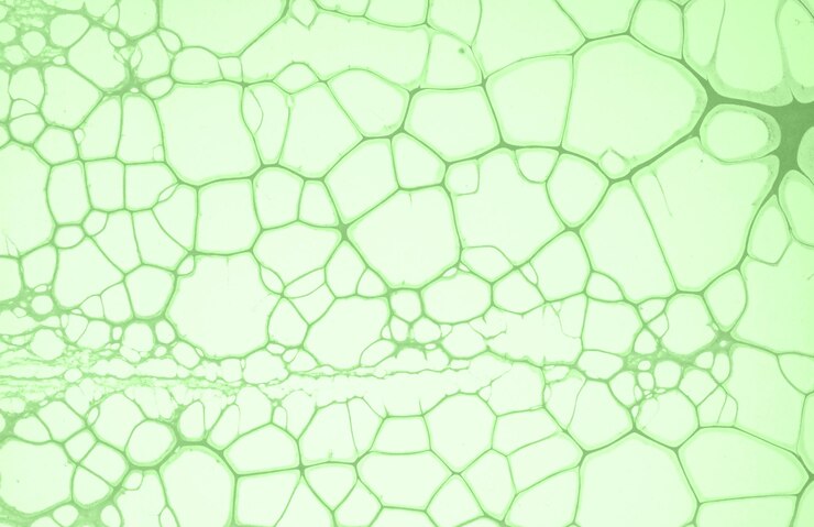 Foto design de fundo abstrato hd bud verde