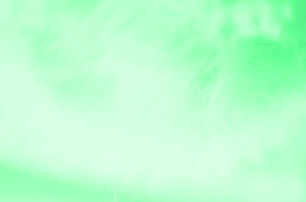 Design de fundo abstrato HD Light Discord cor verde