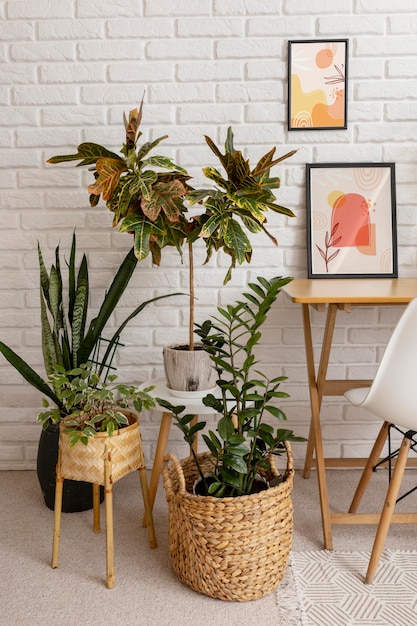 Design de interiores com molduras e plantas de alto ângulo