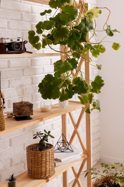Design de interiores relaxante com plantas verdes