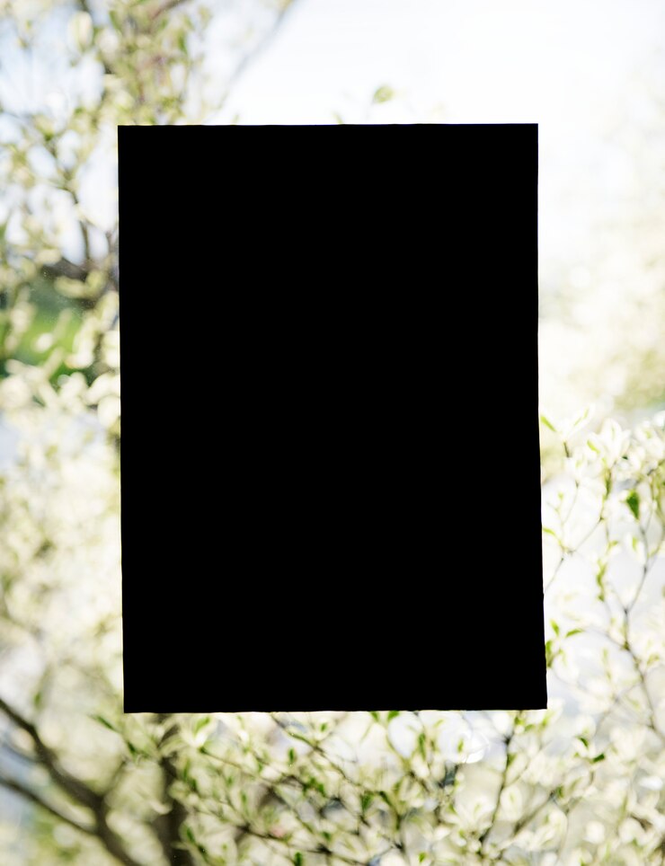 Foto design de papel de espaço na parede de vidro