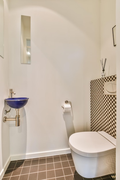 Design der eleganten Toilette im Luxushaus