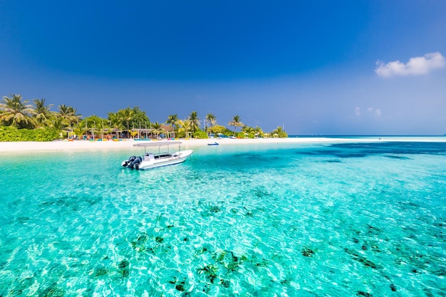 Design inspirador de praia nas Maldivas. Barco tradicional das Maldivas e mar azul perfeito com baía de lagoa