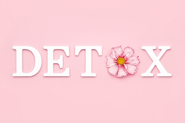 Desintoxicación corporal y concepto de dieta saludable Flor delicada natural en la palabra DETOX de letras blancas sobre fondo rosa Plano creativo Vista superior Espacio de copia