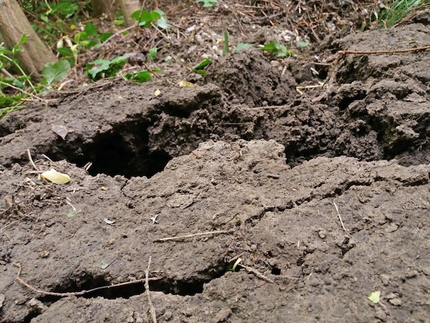 Deslizamentos de terra o chão escorregou