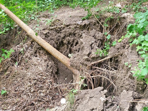 Deslizamientos y árbol caído