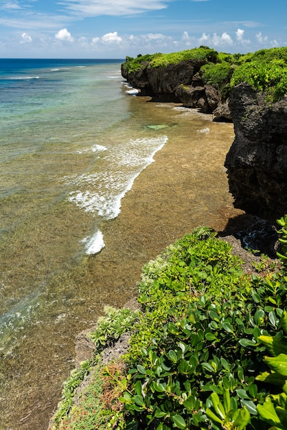 Deslumbrante vista da costa, pequenas ondas sobre uma plataforma de coral. Linda falésia recortada com rocha que lembra o rosto de um índio.