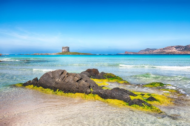 Deslumbrante vista matinal da famosa praia de La Pelosa com Torre della Pelosa