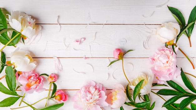 Deslumbrantes peônias rosa e brancas sobre fundo de madeira rústico copiar espaço aniversário dia dos namorados da mãe conceito do dia do casamento das mulheres
