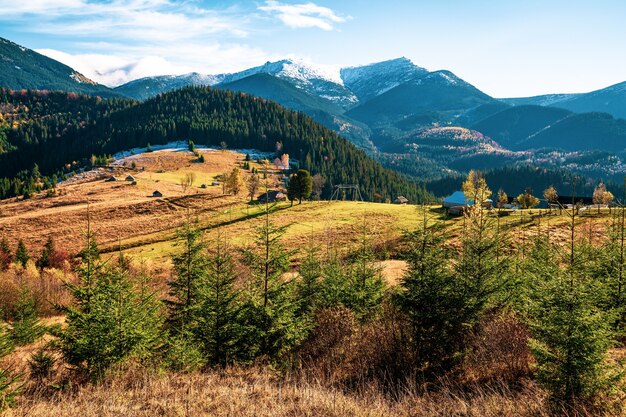 Desmatamento nas montanhas dos Cárpatos, vista em um lindo dia nublado e quente