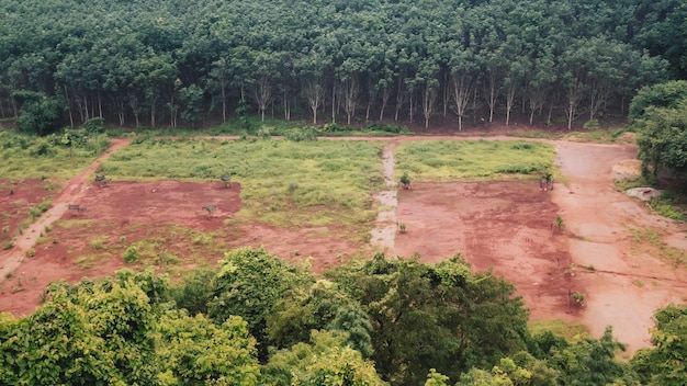 Desmatamento: Terra marcada onde a floresta tropical foi destruída pelo desenvolvimento humano