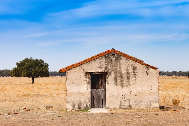 Desolate altes Haus mit einer Holztür