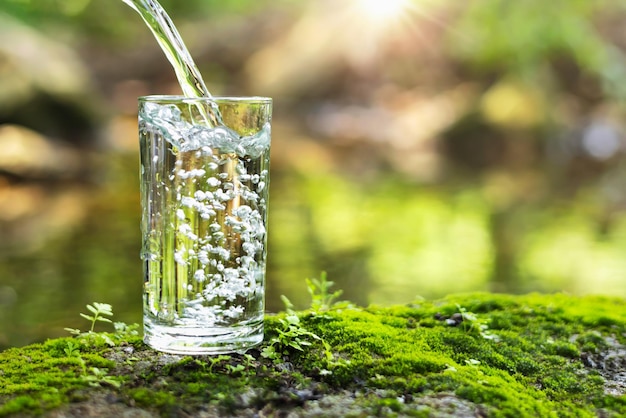 Despeje água em vidro na grama verde na natureza