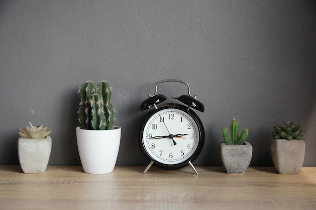 Despertador com plantas suculentas e cactos em vasos na mesa de madeira com fundo cinza Potted i