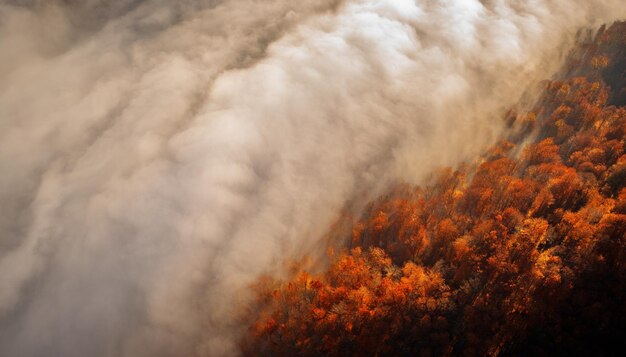 Foto el despertar de la naturaleza temprano en la mañana en el bosque de montaña con hojas amarillas y niebla