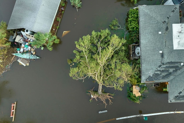 Después del desastre natural, el huracán Ian inundó una casa y cayó un árbol en una zona residencial de Florida