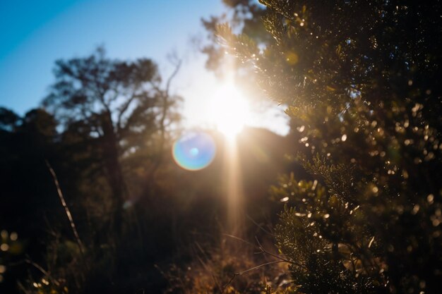 Foto destello de lente solar