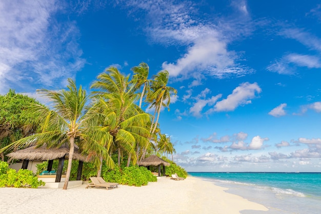 Destino de resort de viagens de luxo natureza idílica paisagem palmeira areia céu incrível praia tropical