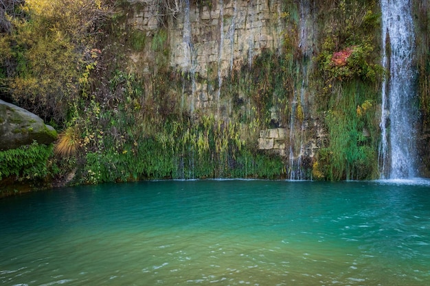 Destino de turismo de vegetação cenário de floresta verão ecoturismo