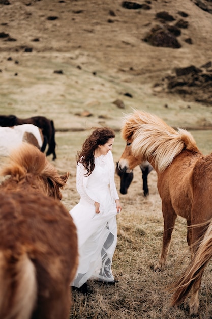 Destino Islândia Sessão de fotos de casamento com cavalos islandeses entre uma noiva em um vestido branco