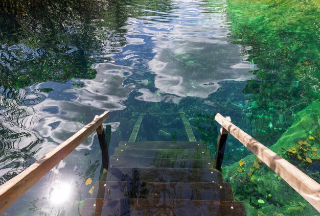 Destino turístico de México Cenote Casa Tortuga cerca de Tulum y Playa del Carmen