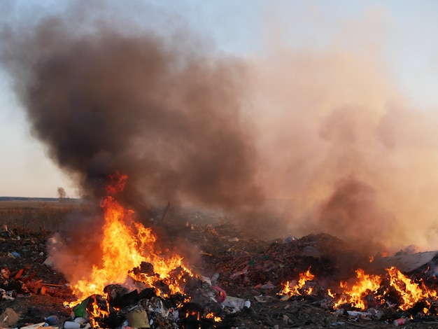 Destrucción de basura