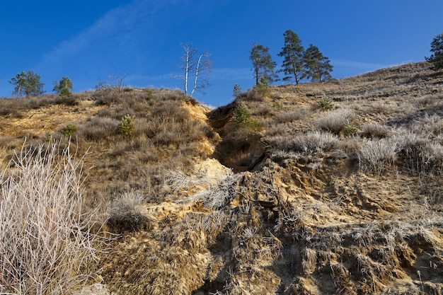 La destrucción de la orilla arenosa del río. La pérdida de árboles por la erosión del suelo.