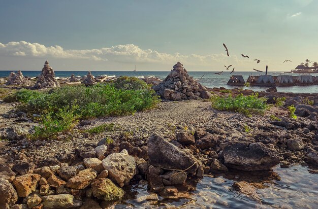 Detail der Ansicht von Puerto Aventuras Strand in Mexiko mit einigen Möwen, die vom Meer zur Küste fliegen.