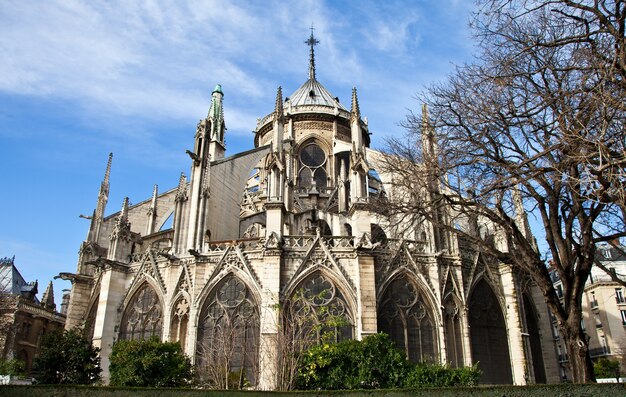 Detail der gotischen Kathedrale Notre Dame in Paris