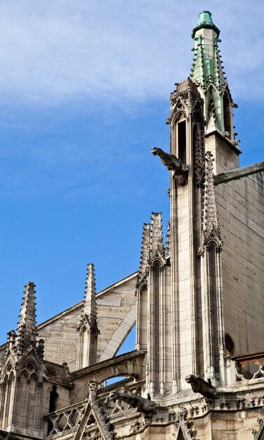 Detail der gotischen Kathedrale Notre Dame in Paris