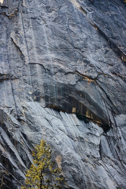 Detail der großen vertikalen grauen Felswand bei Yosemite