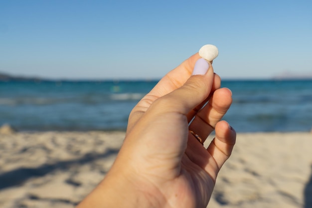 Detail der kleinen weißen Muscheln in der Hand einer Frau mit lackierten Nägeln am Strand