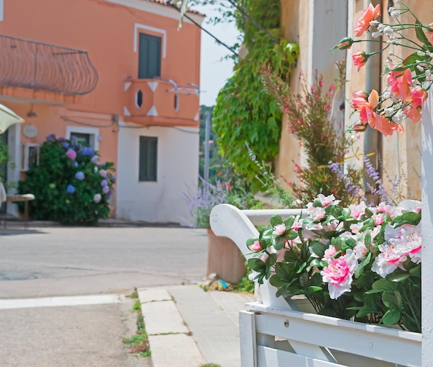 Detail der weißen Blumen an der Straße