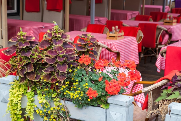 Detail des Cafés im Freien in roten Farben