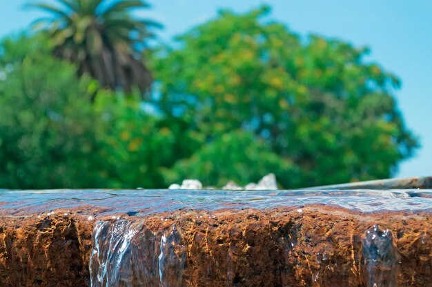 Detail eines Brunnens mit grünen Bäumen im Hintergrund