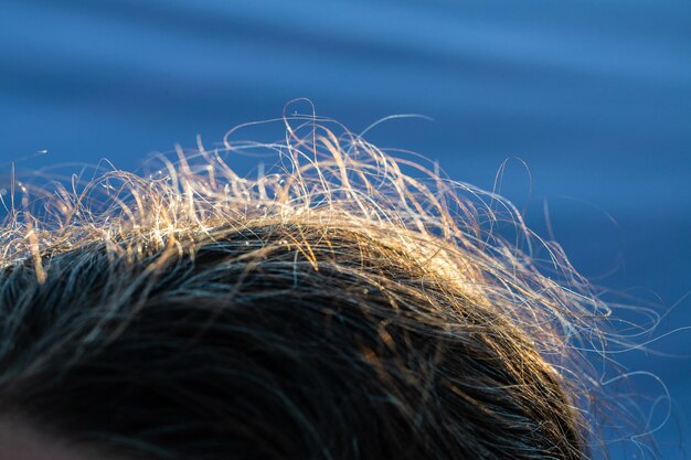 Detail von ungepflegtem Haar, das durch Salz und Sonne beschädigt wurde