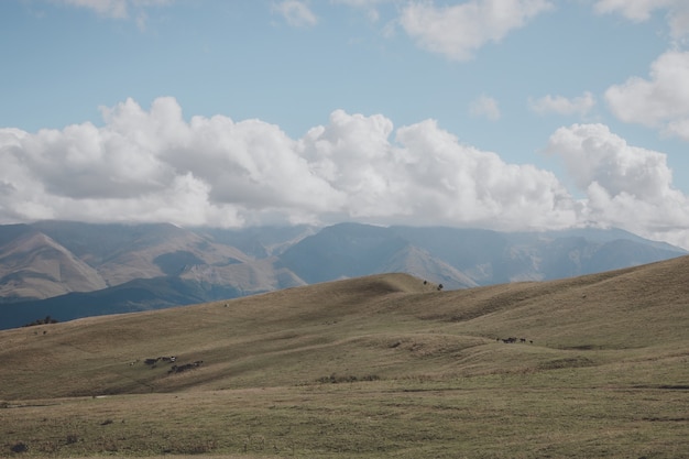 Detailansicht Berge und Talszenen im Nationalpark Dombai, Kaukasus, Russland, Europa. Sommerlandschaft, Sonnenscheinwetter, dramatischer blauer Himmel und sonniger Tag
