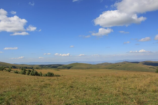 Detailansicht Berge und Talszenen im Nationalpark Dombai, Kaukasus, Russland, Europa. Sommerlandschaft, Sonnenscheinwetter, dramatischer blauer Himmel und sonniger Tag