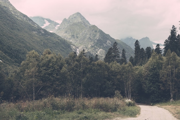 Detailansicht Berge und Waldszenen im Nationalpark Dombai, Kaukasus, Russland, Europa. Sommerlandschaft, Sonnenscheinwetter, dramatischer blauer Himmel und sonniger Tag