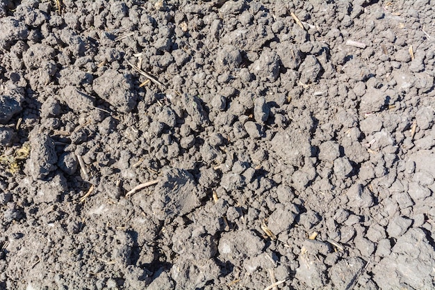 Detailansicht des bepflanzten Landes