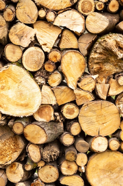 Detailansicht ein großer Haufen von Baumstämmen Nahaufnahme von Holzstämmen in der Natur Holzhintergrund Protokollhintergrund