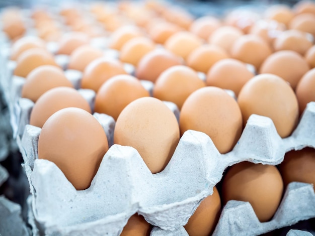 Detailansicht von rohen Hühnereiern im Eierkarton