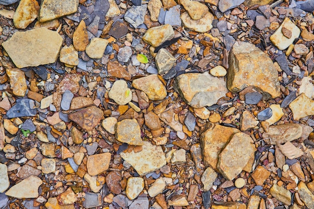 Detaillierte Sicht auf Flussfelsen trockene Herbstfarben